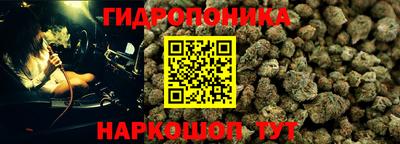 ECSTASY Нальчик